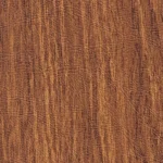Dark Oak