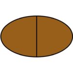 Oval Shape